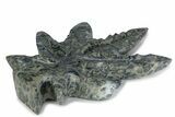 Kambaba Jasper “Maple Leaf” Sculpture or Soap Dish #378844-1